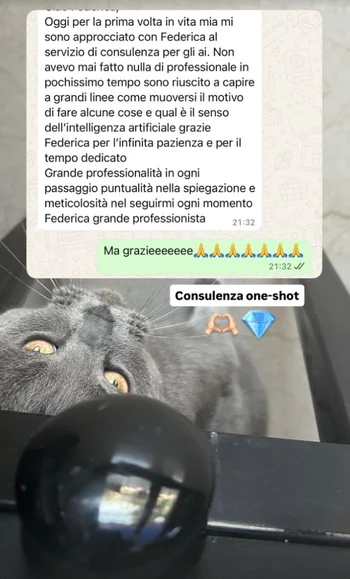 Recensione della prima consulenza AI: il cliente ringrazia Federica per la pazienza, il tempo dedicato e la precisione delle spiegazioni.